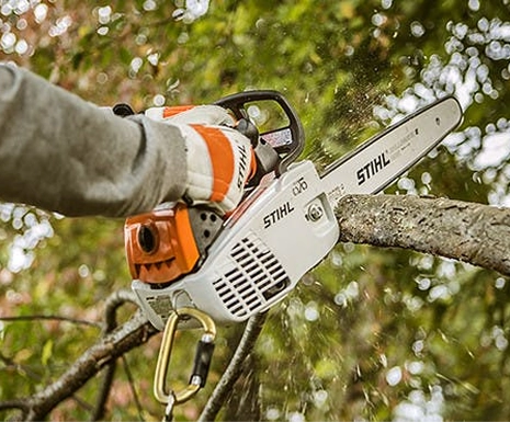 In-tree Saws