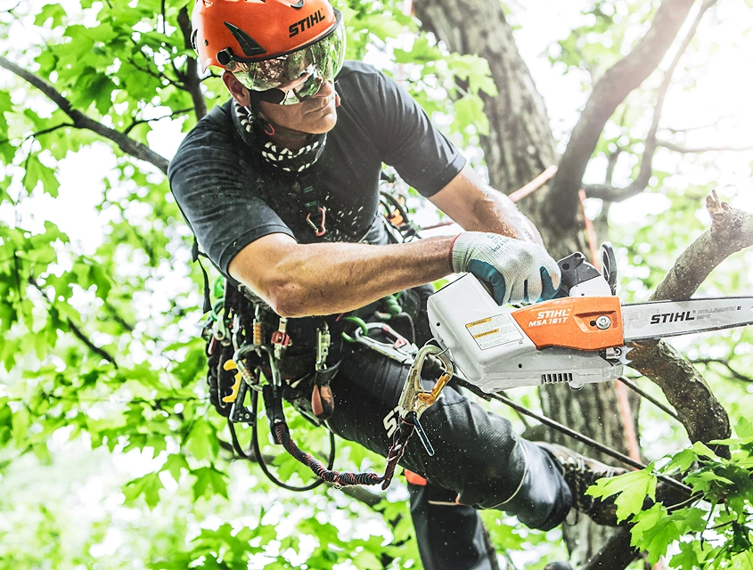 STIHL Professional Arborist Products